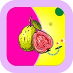 芭乐app下载官网入口站长统计