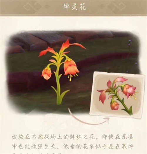 原神悼灵花多久刷新一次 原神悼灵花在哪采集位置地点分享