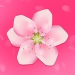 色虎appapk