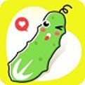 麻花传剧app下载入口