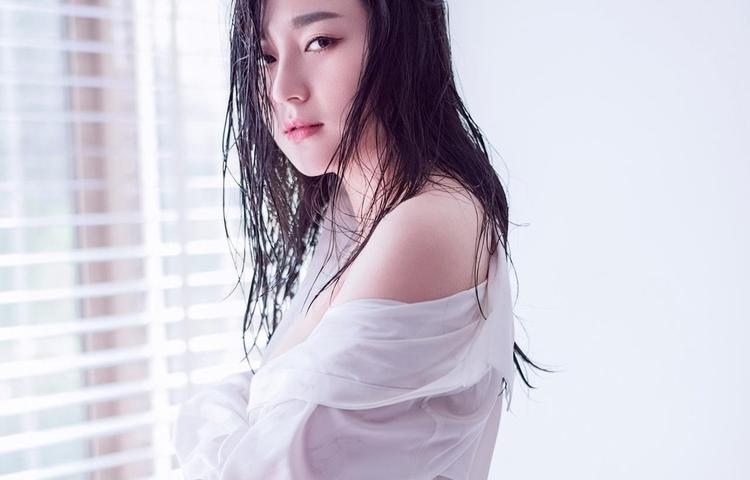 使用IDM下载视频