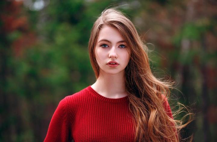 猪器官移植的潜力