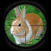 兔子狩猎3D下载安装免费正版