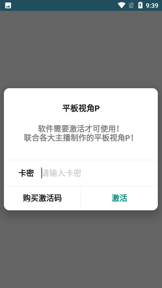 平板视角P0