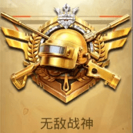 平板视角P_logo